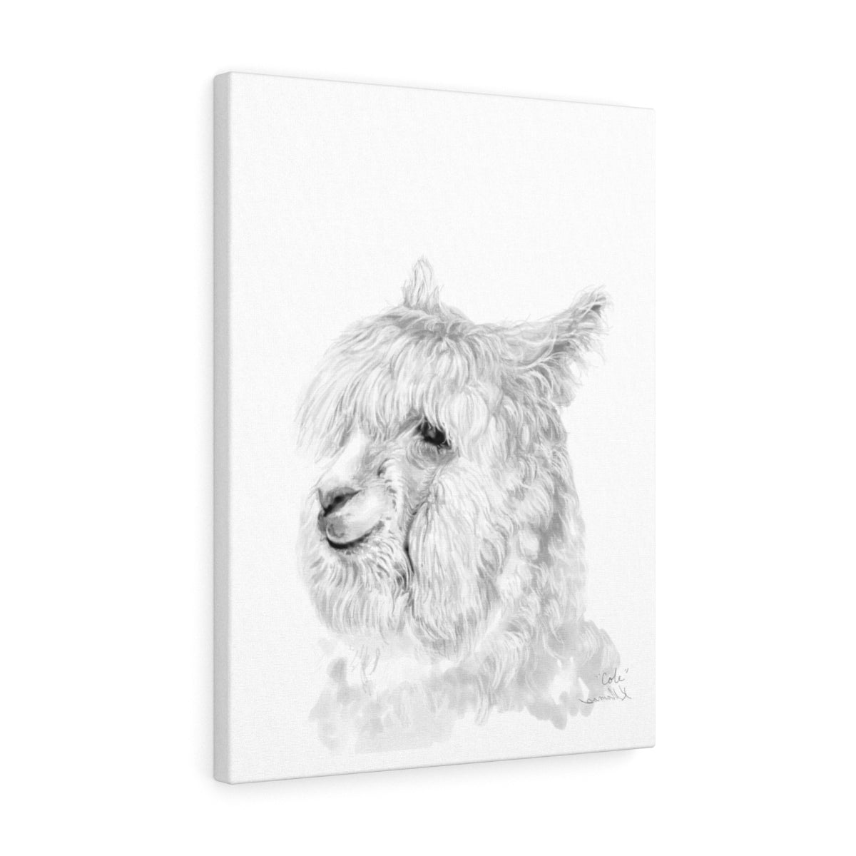 COLE Llama - Art Canvas