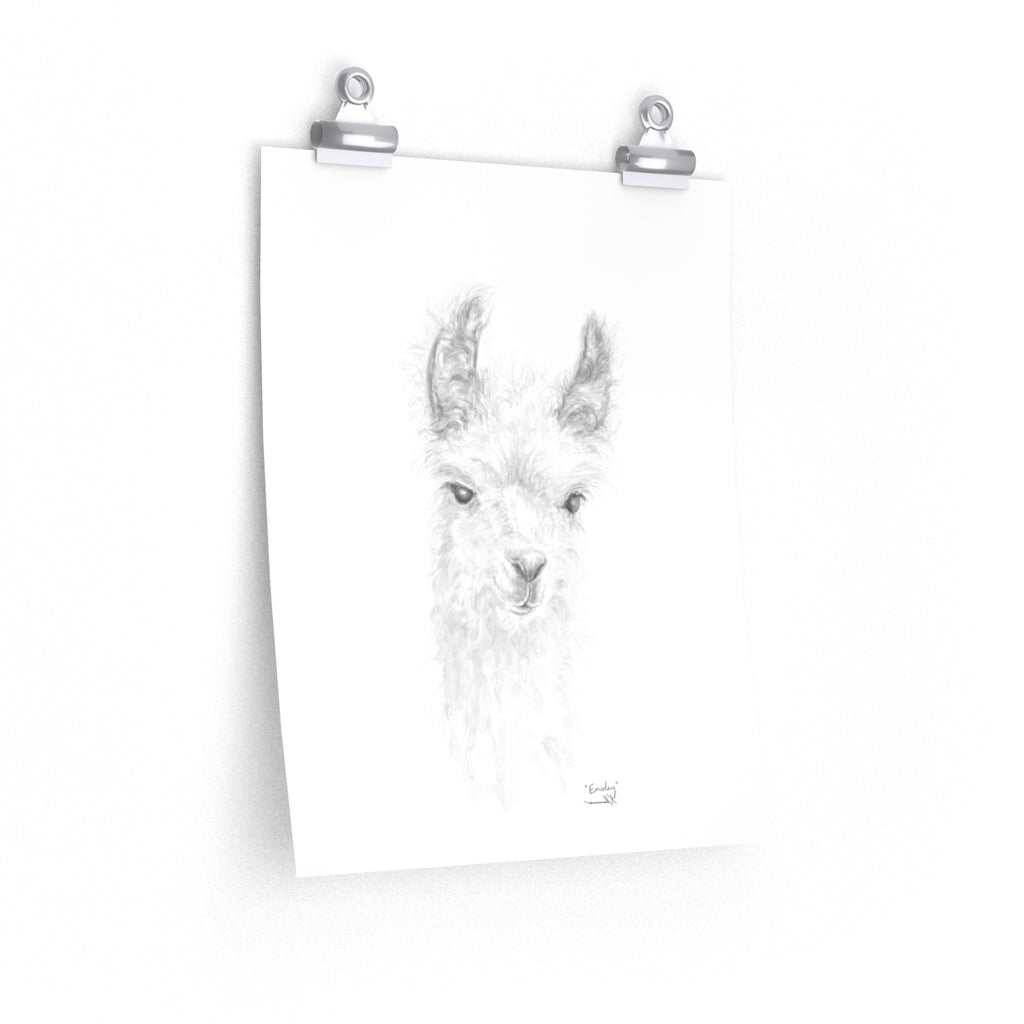 EMSLEY Llama- Art Paper Print