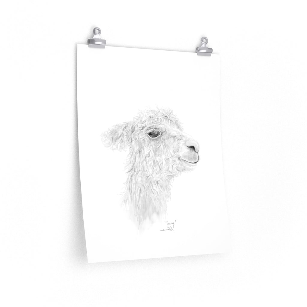 JERRY Llama- Art Paper Print