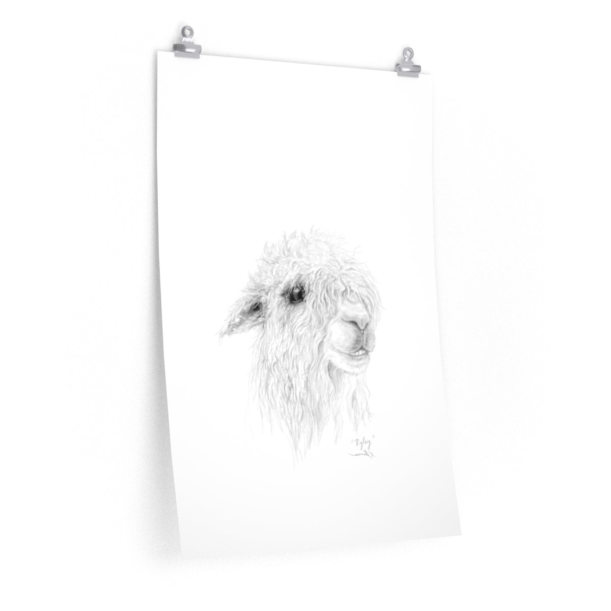 RYLEY Llama- Art Paper Print