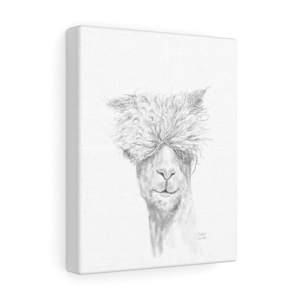 JUSTIN Llama - Art Canvas