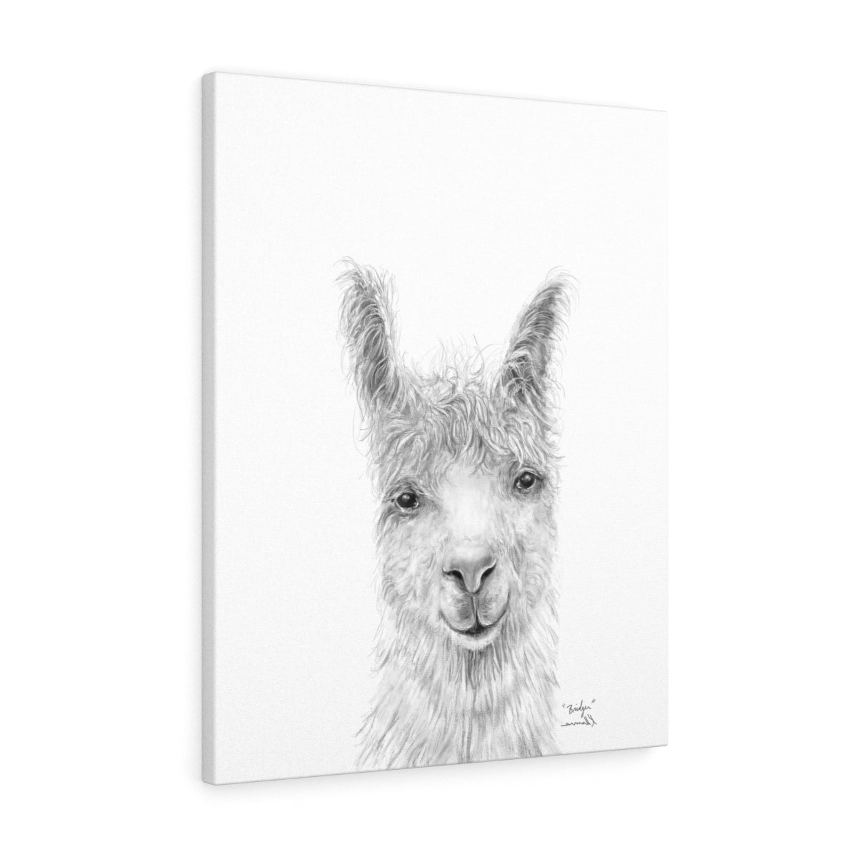 BRIDGER Llama - Art Canvas