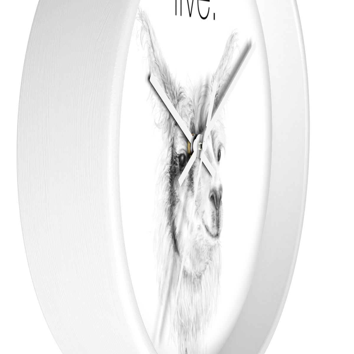 Llama LIVE Wall clock: ADAM