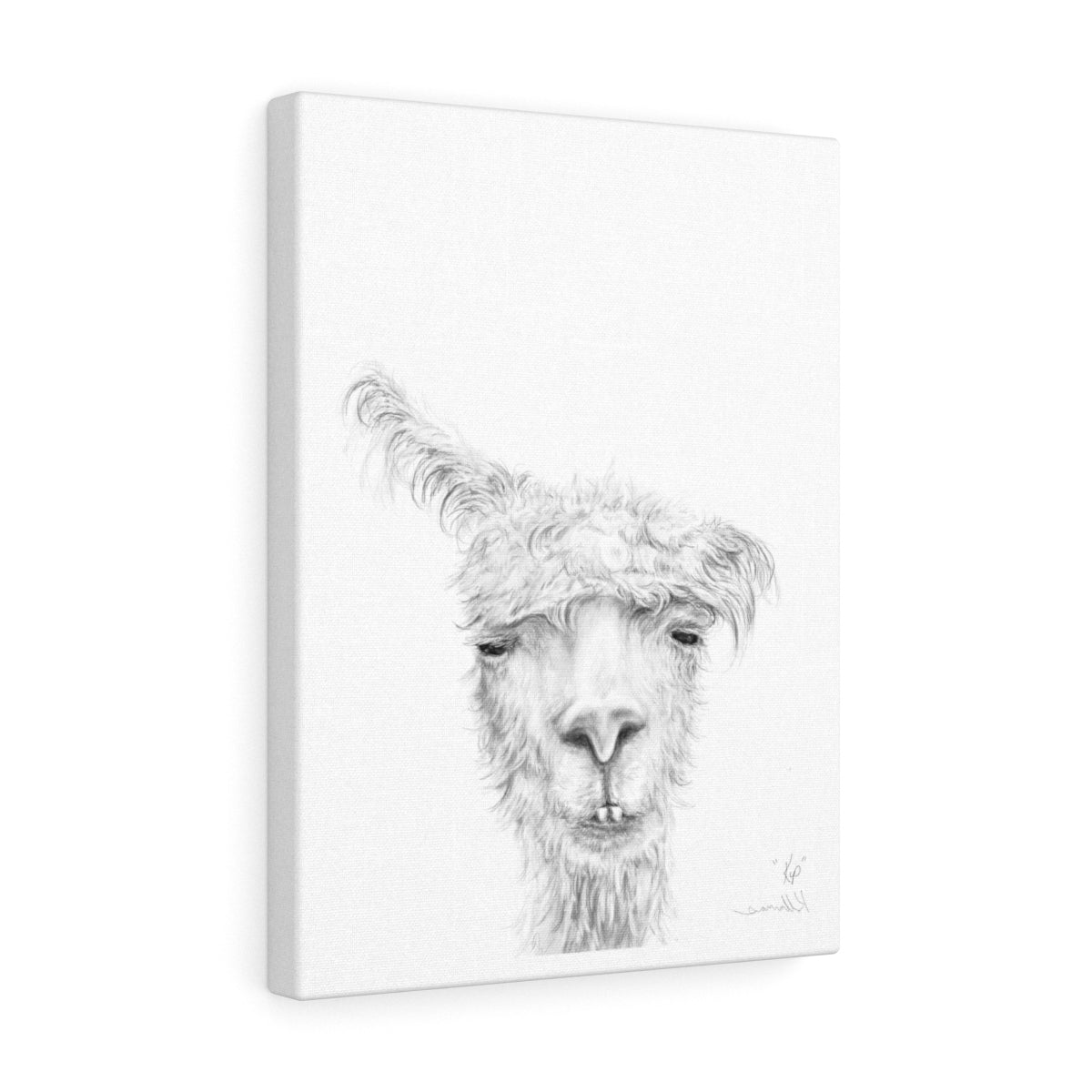 KIP Llama - Art Canvas