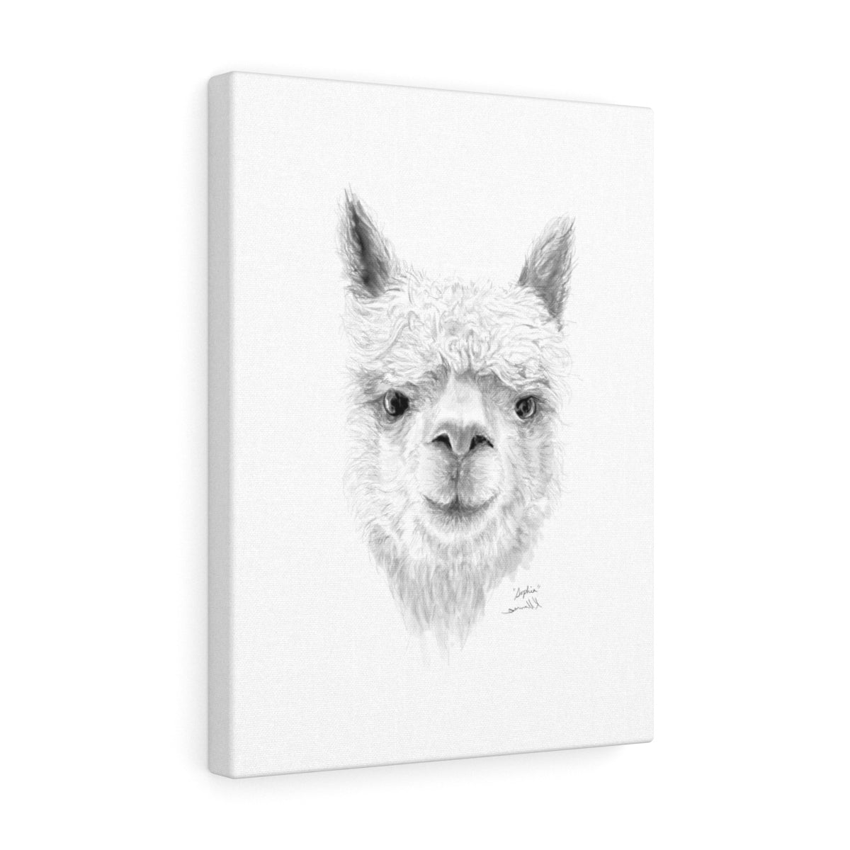 SOPHIA Llama - Art Canvas