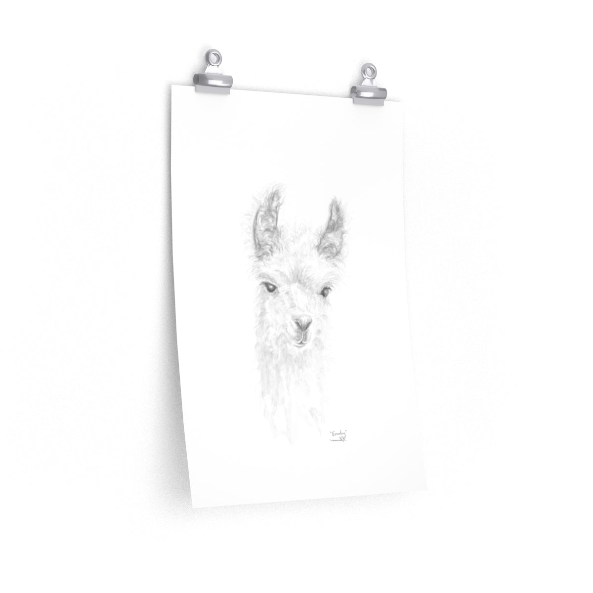 EMSLEY Llama- Art Paper Print
