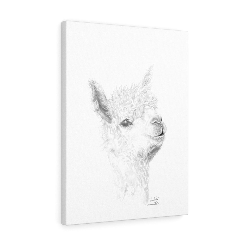 ISABELLA Llama - Art Canvas