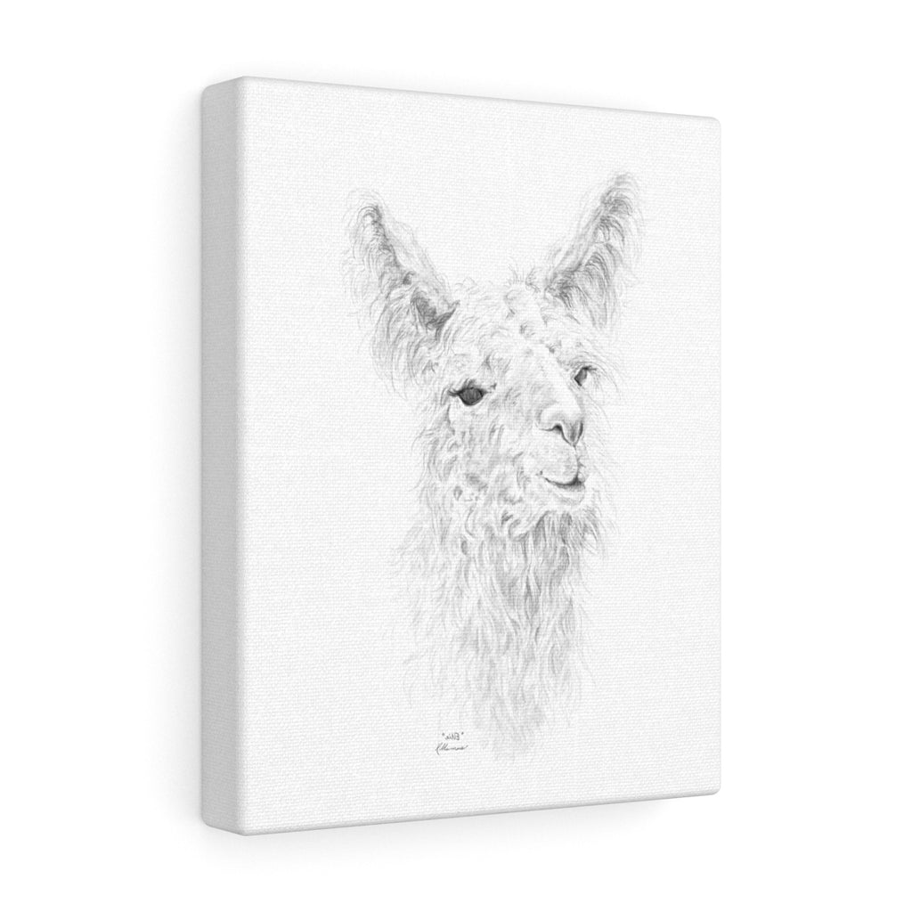 ELLIE Llama - Art Canvas