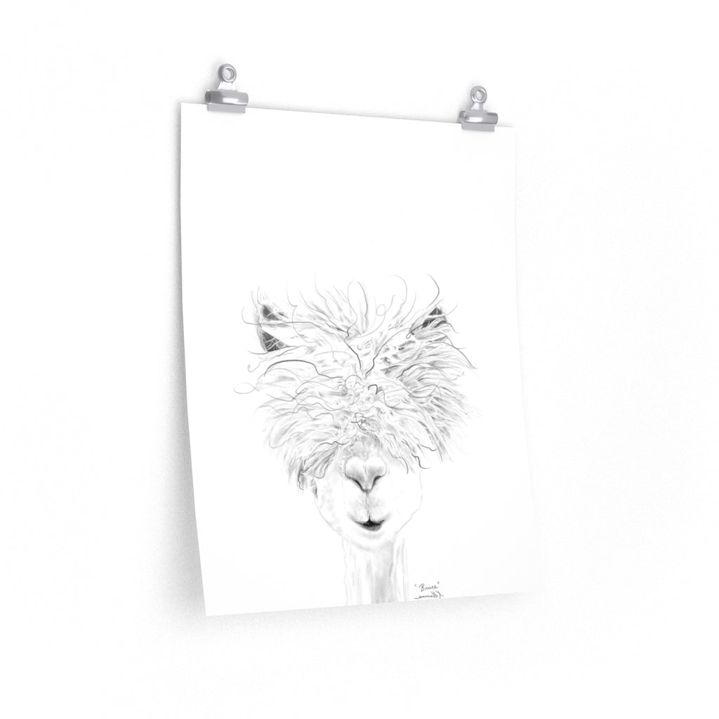 BRUCE Llama- Art Paper Print