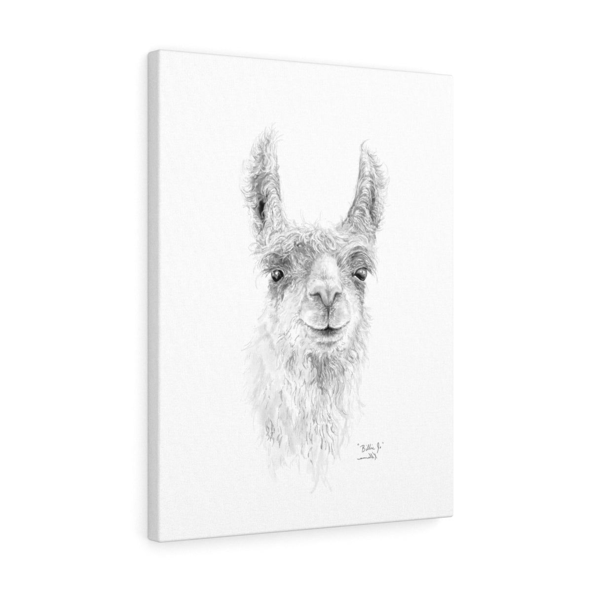 BILLIE-JO Llama - Art Canvas