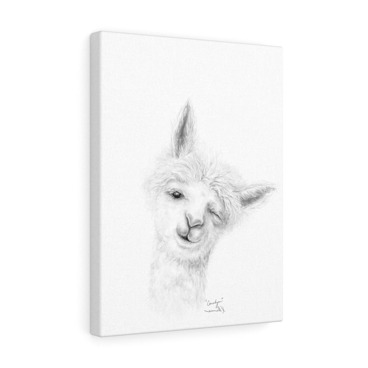 CAROLYN Llama - Art Canvas