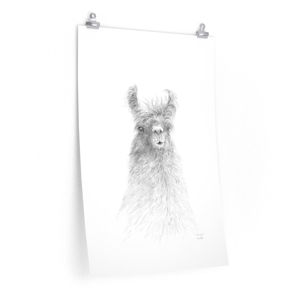 FRANCINE Llama- Art Paper Print