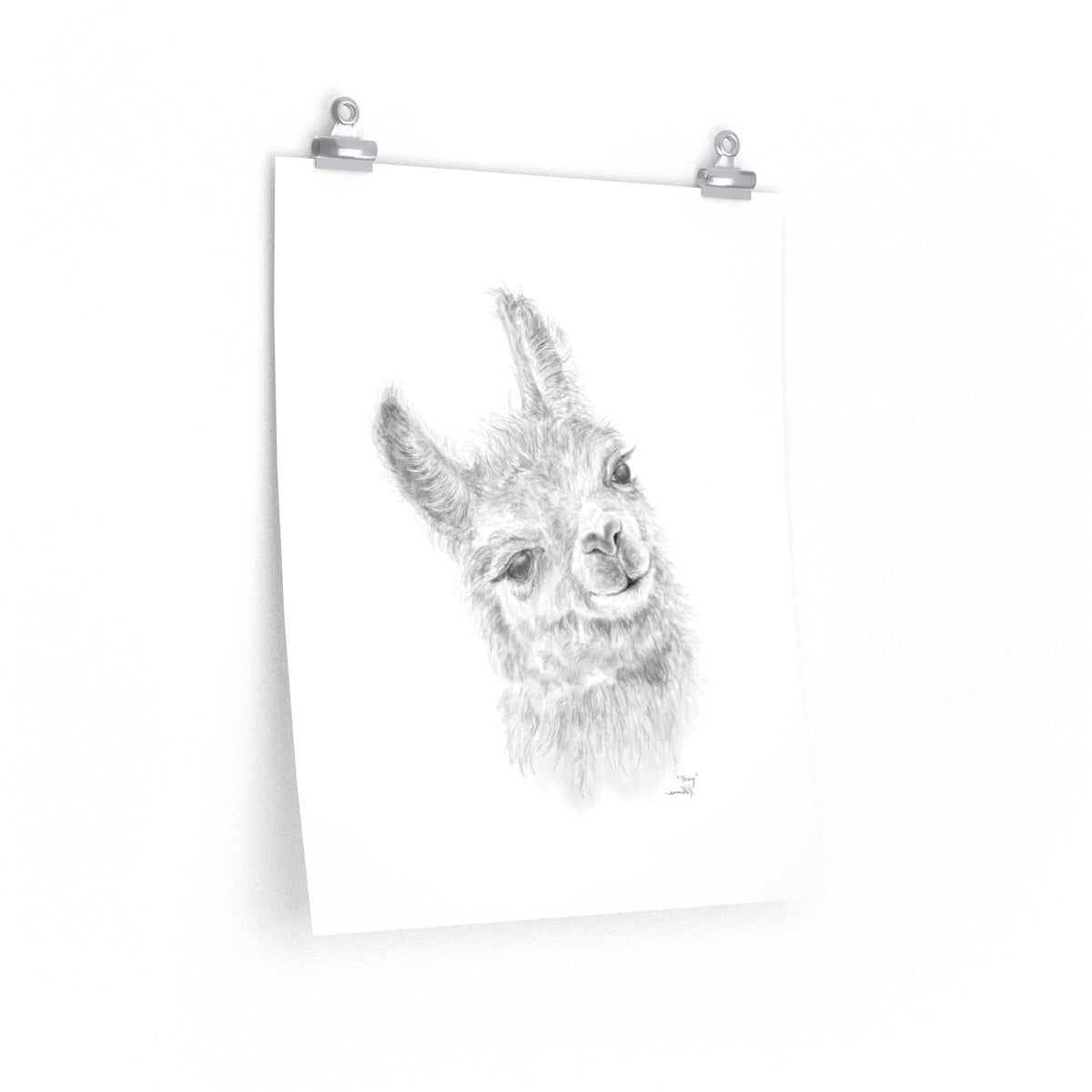 Posey Llama- Art Paper Print