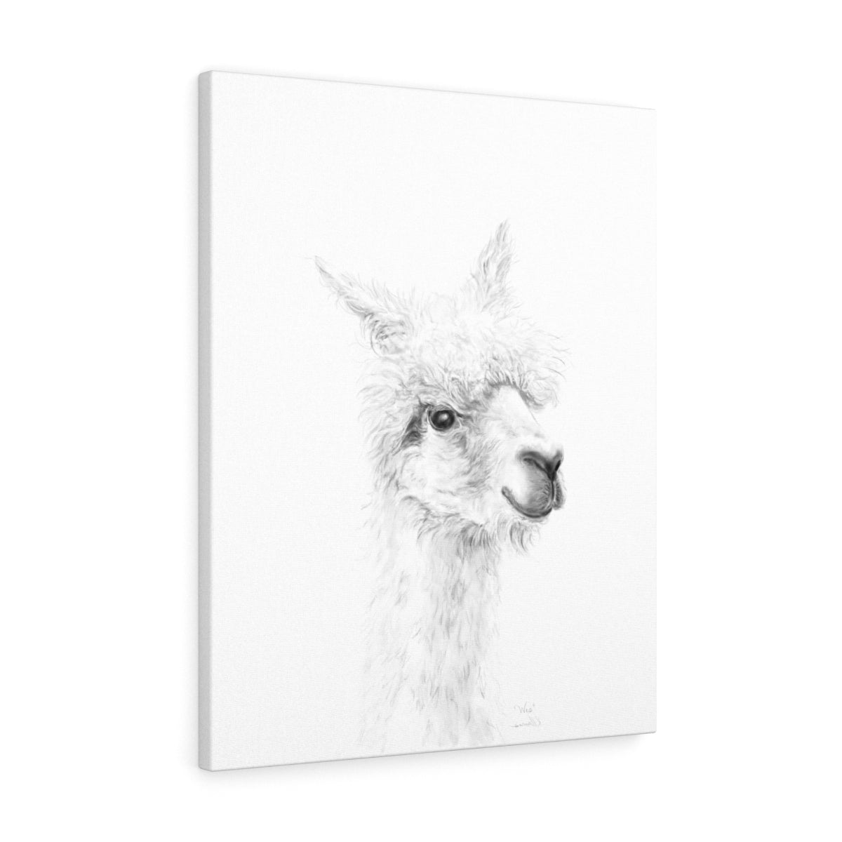 WES Llama - Art Canvas