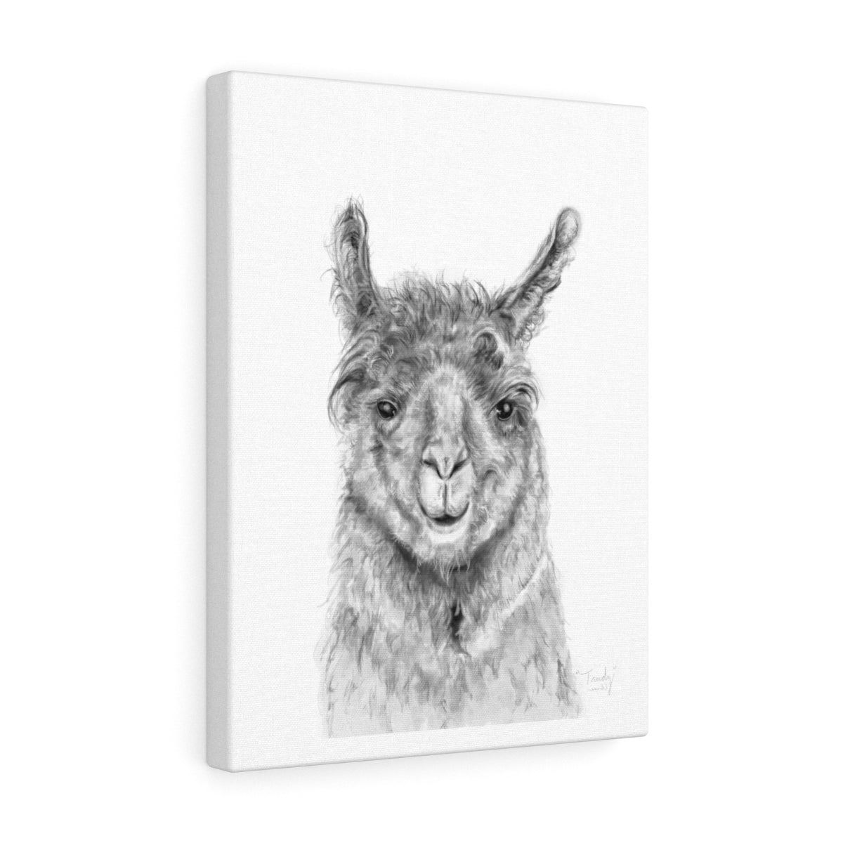 TRUDY Llama - Art Canvas