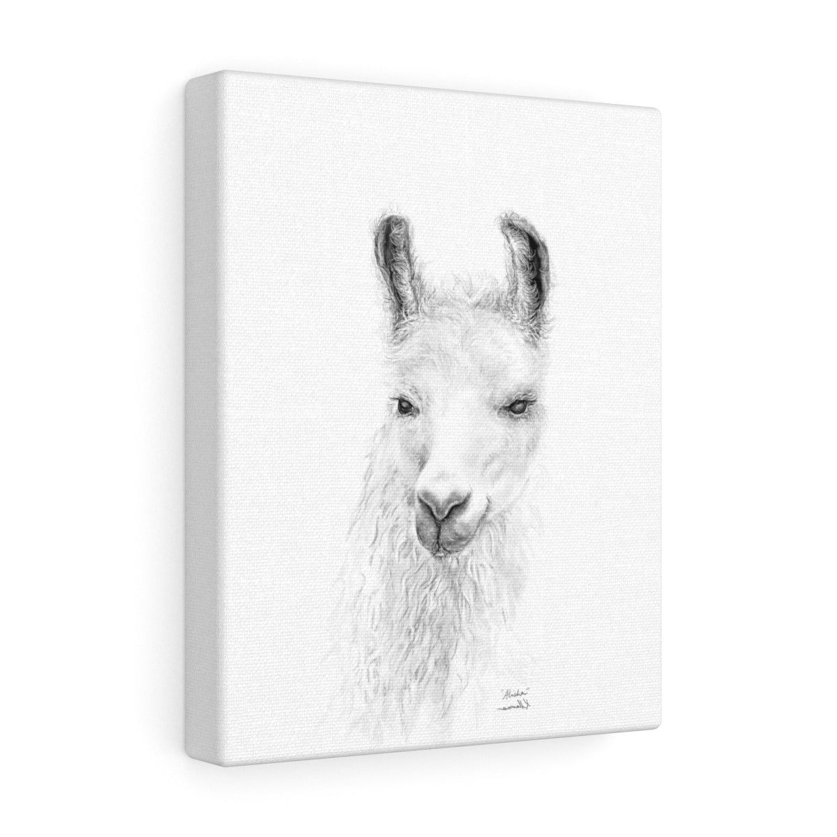 ALISHA Llama - Art Canvas