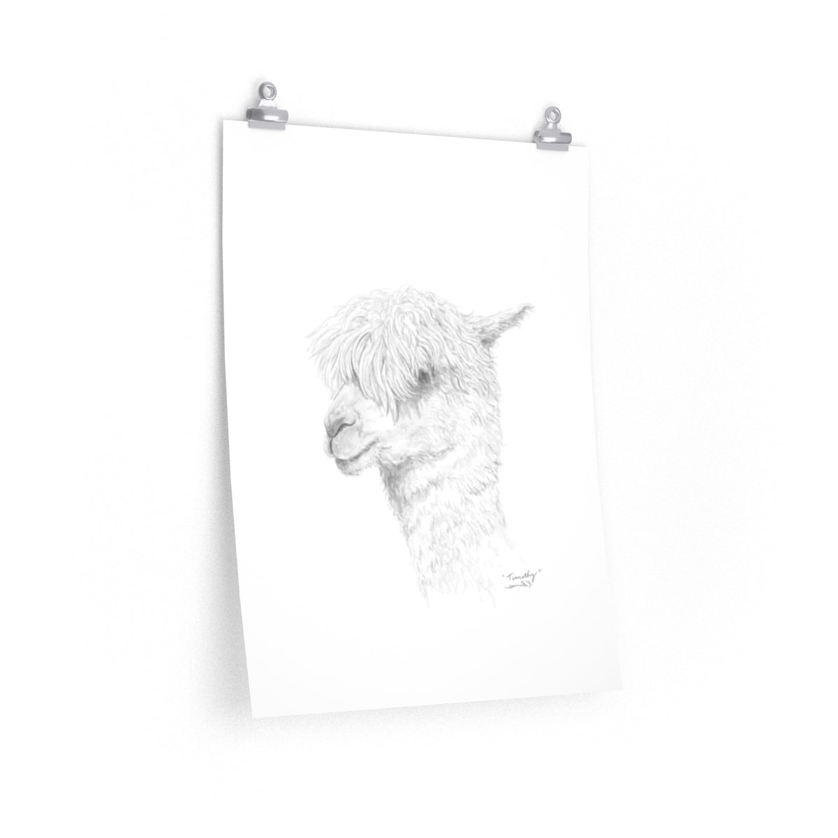 TIMOTHY Llama- Art Paper Print