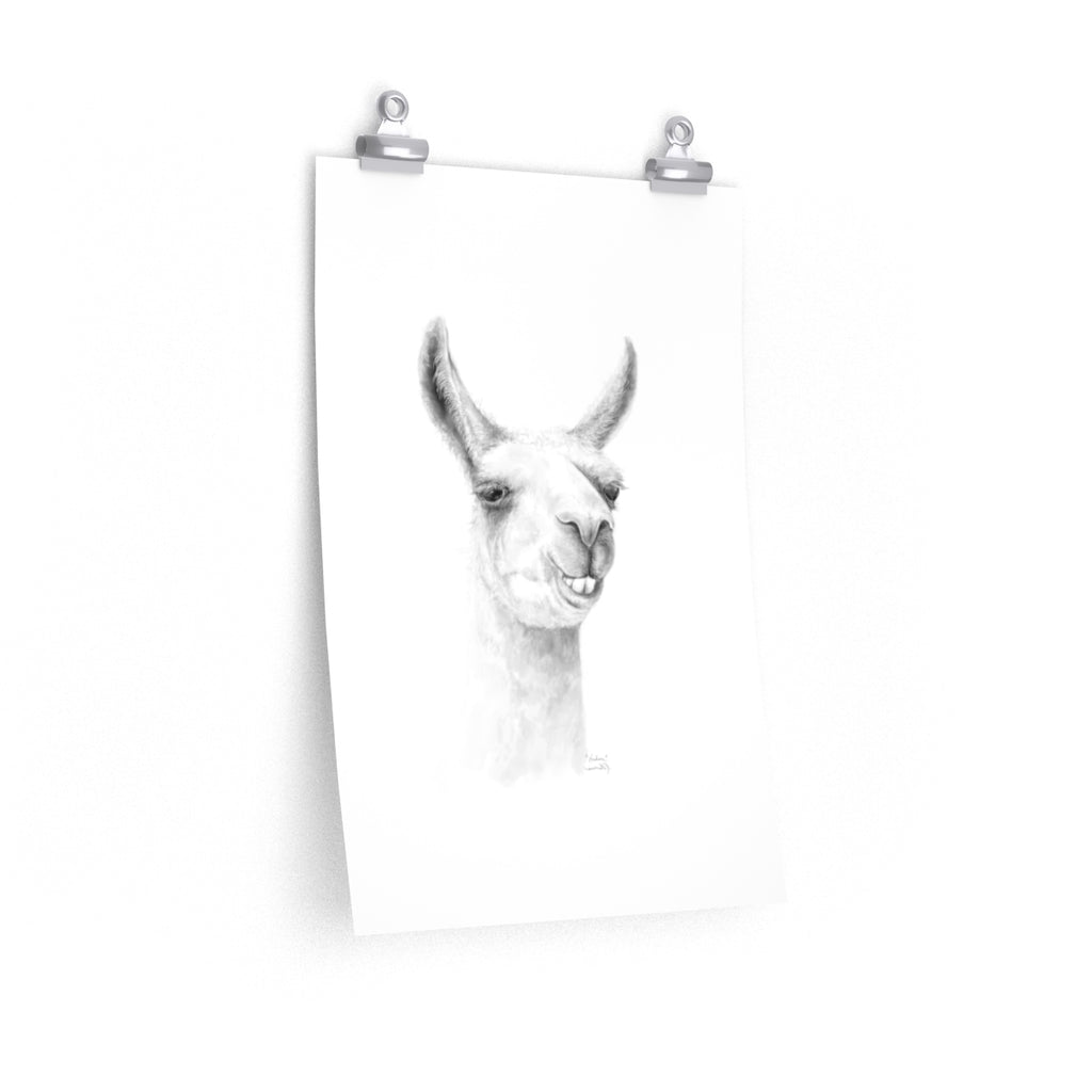 HUDSON Llama- Art Paper Print