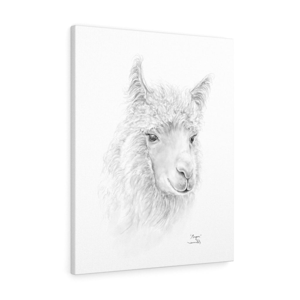 MORGAN llama- Art Canvas