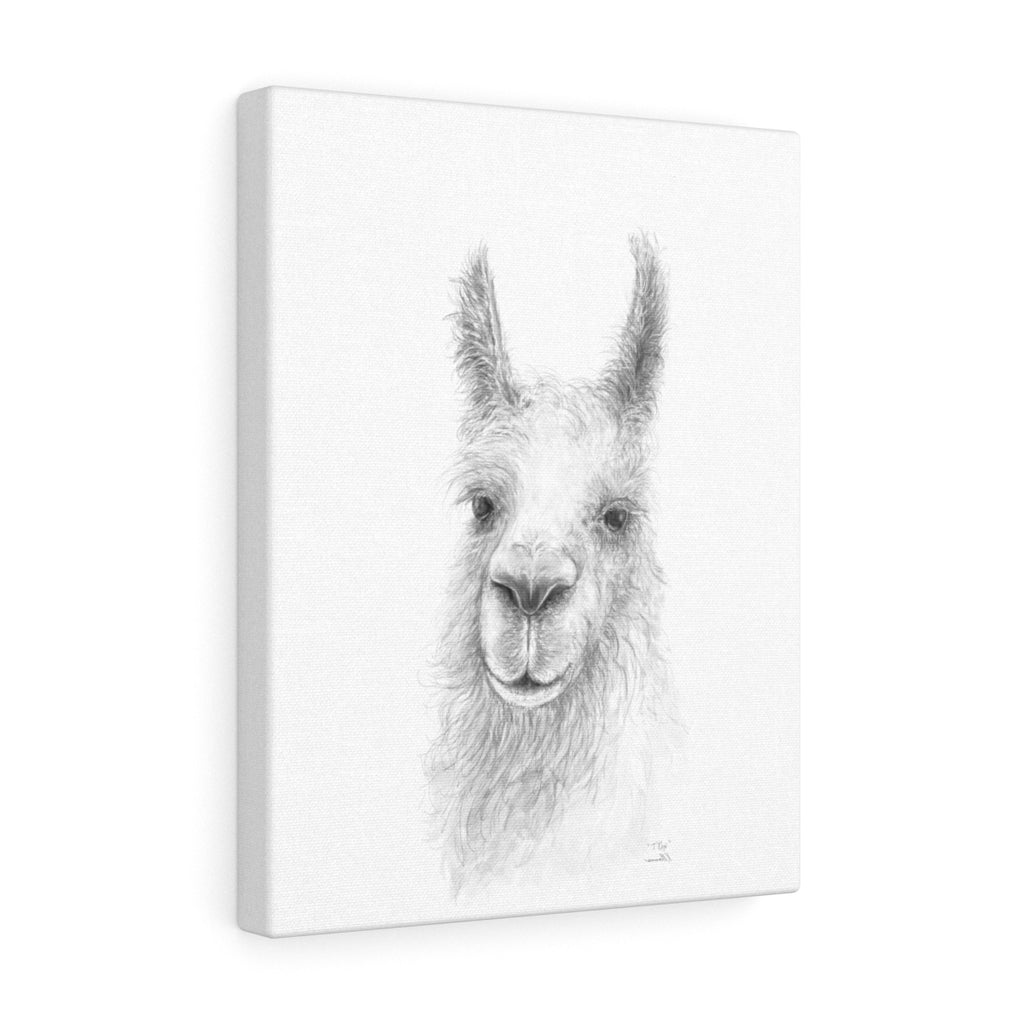TREX Llama - Art Canvas