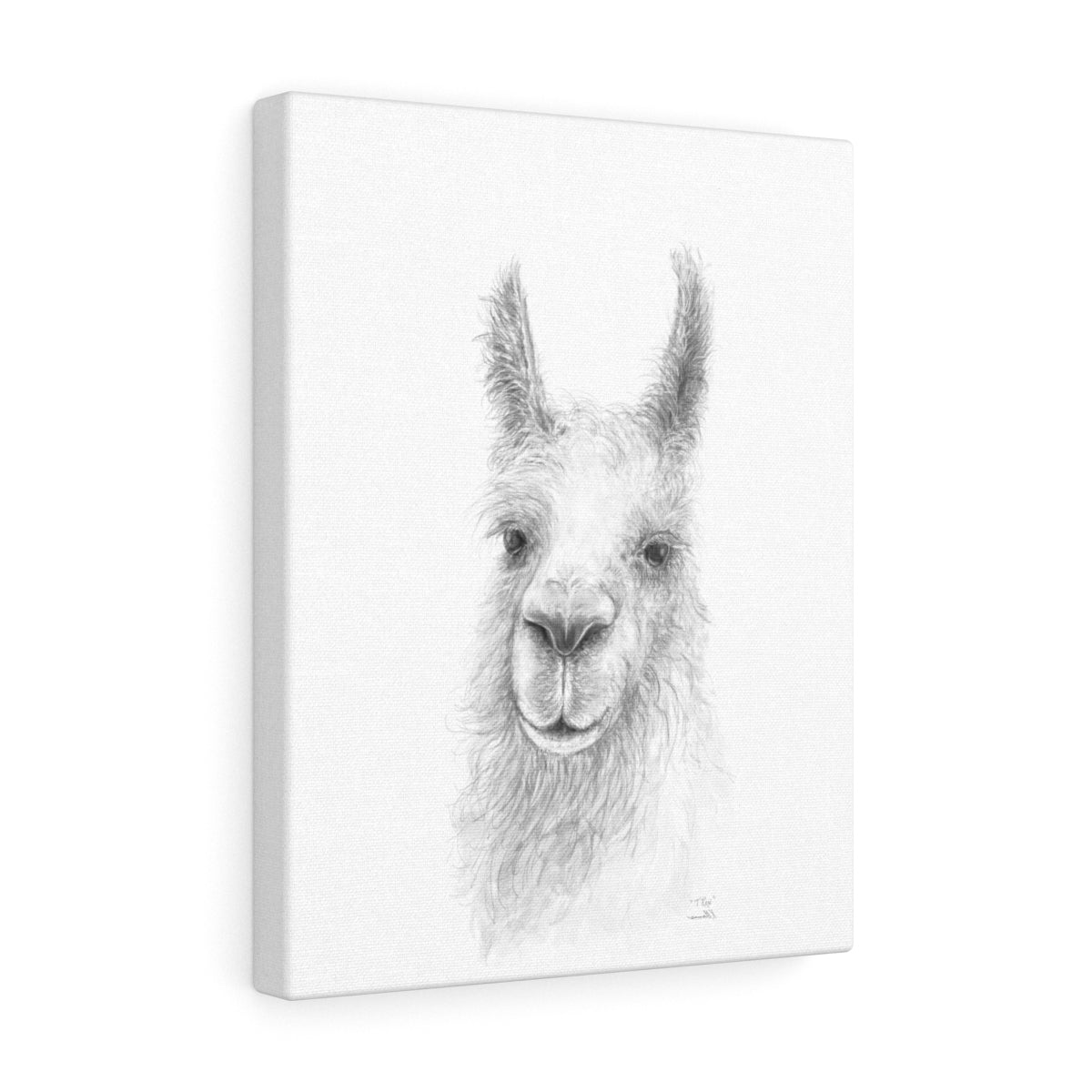 TREX Llama - Art Canvas