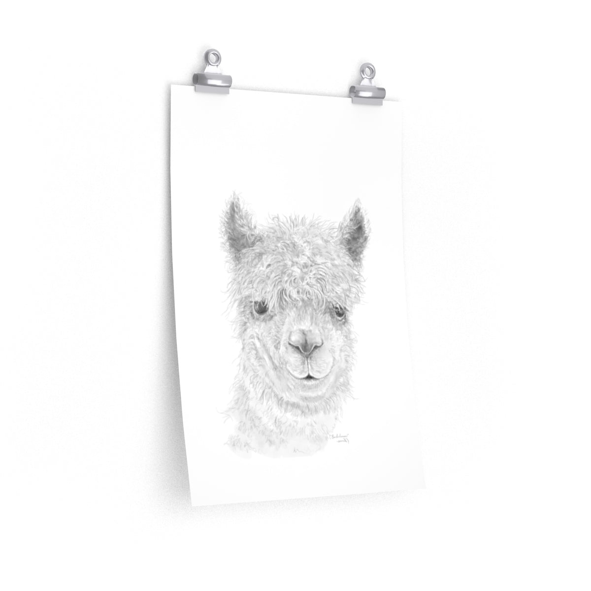 BARTHOLOMEW Llama- Art Paper Print
