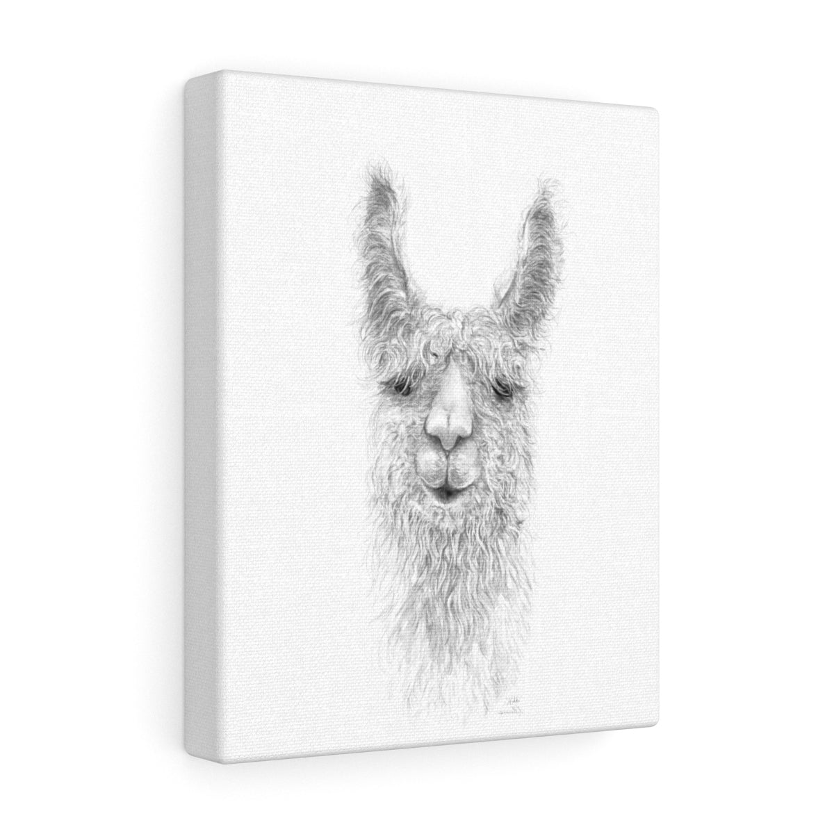Nikki Llama - Art Canvas