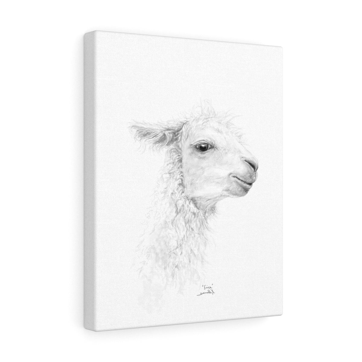 ERICA Llama - Art Canvas