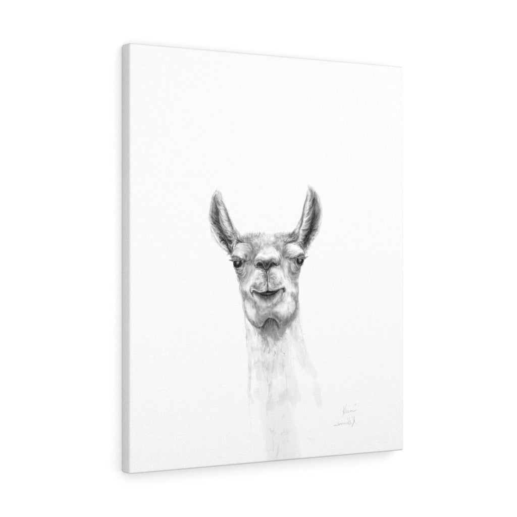 KAIN Llama - Art Canvas