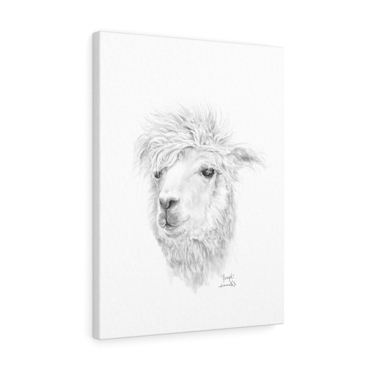 JOSEPH Llama - Art Canvas