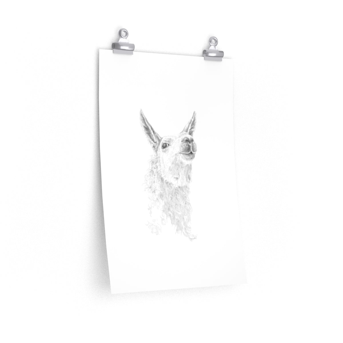 LARRY Llama- Art Paper Print