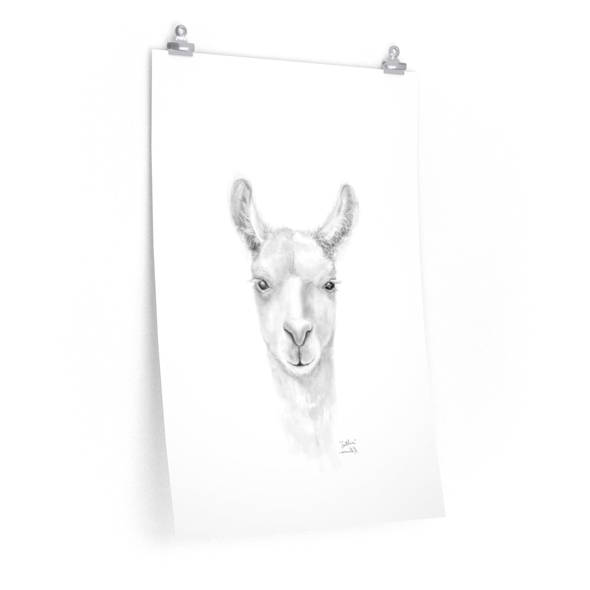 CAITLIN Llama- Art Paper Print