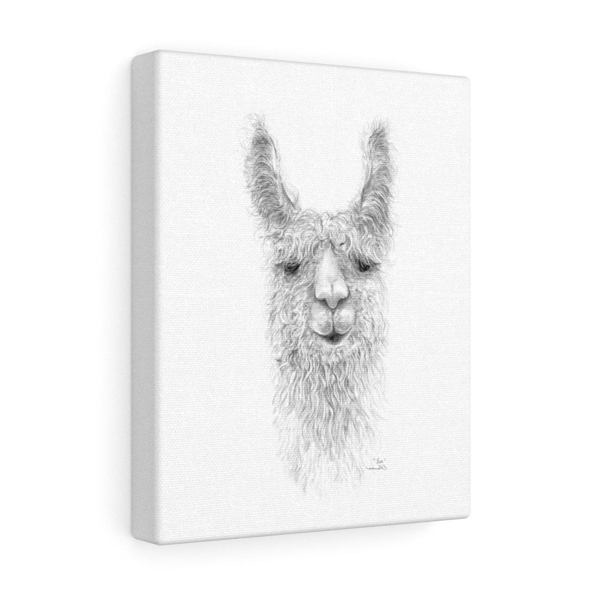 LEA Llama - Art Canvas