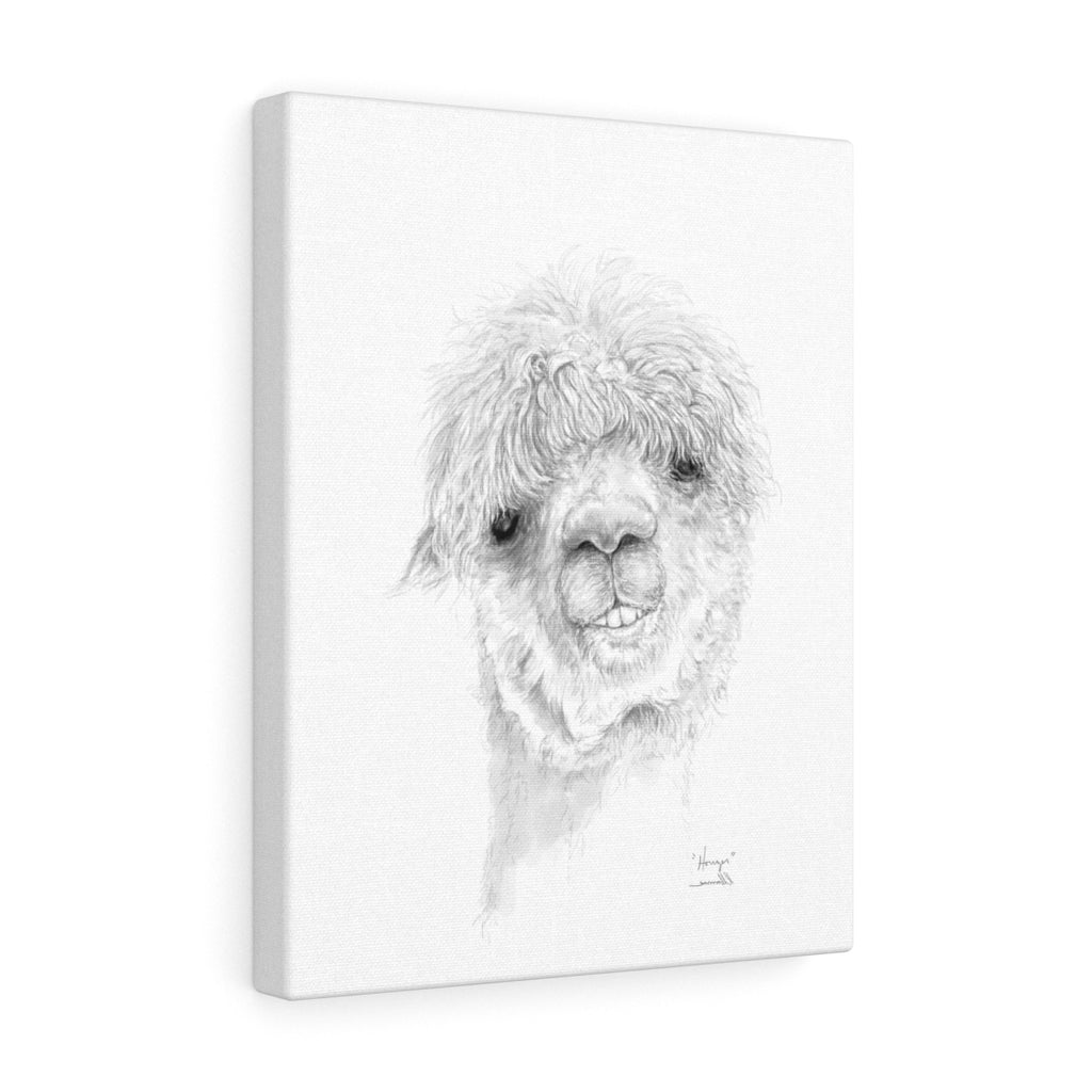 HOUZER Llama - Art Canvas