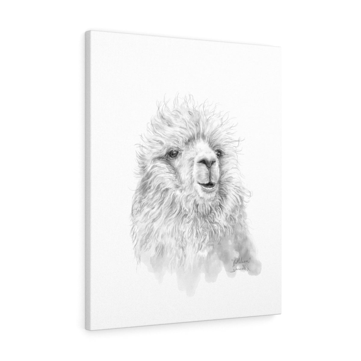 KATHLEEN Llama - Art Canvas