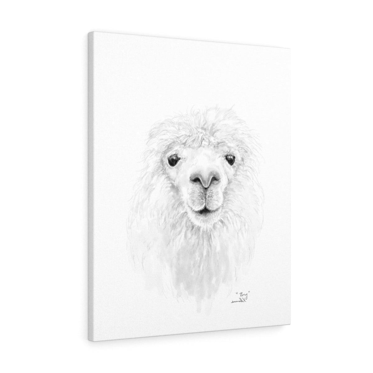 RORY Llama - Art Canvas
