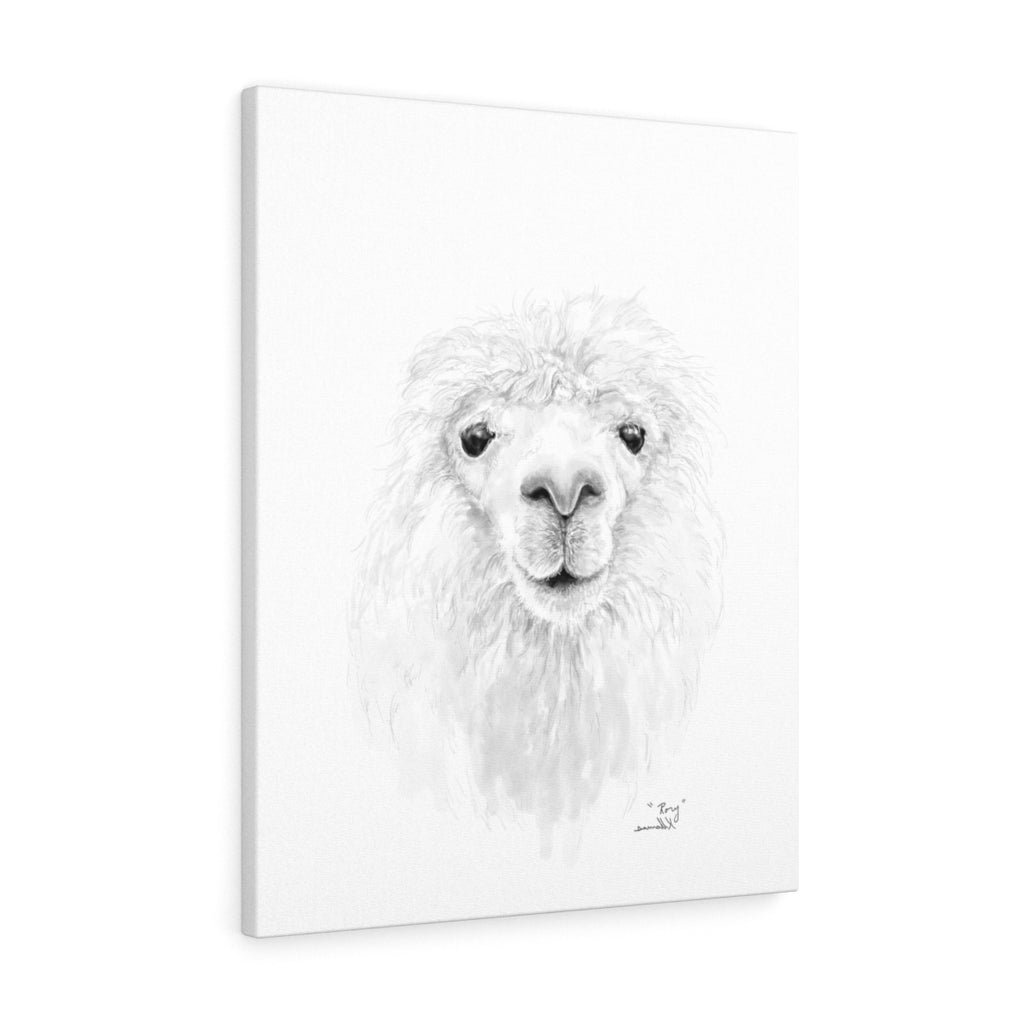 RORY Llama - Art Canvas