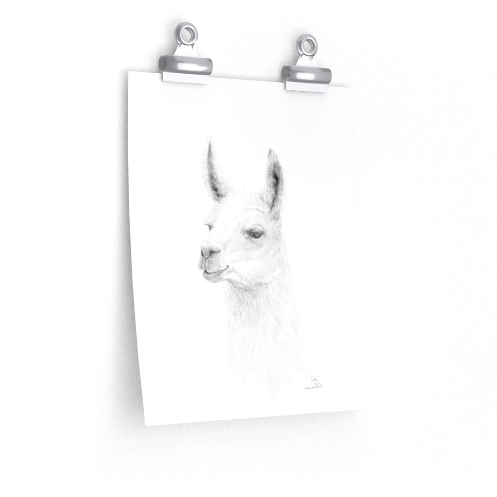 ISLA Llama- Art Paper Print