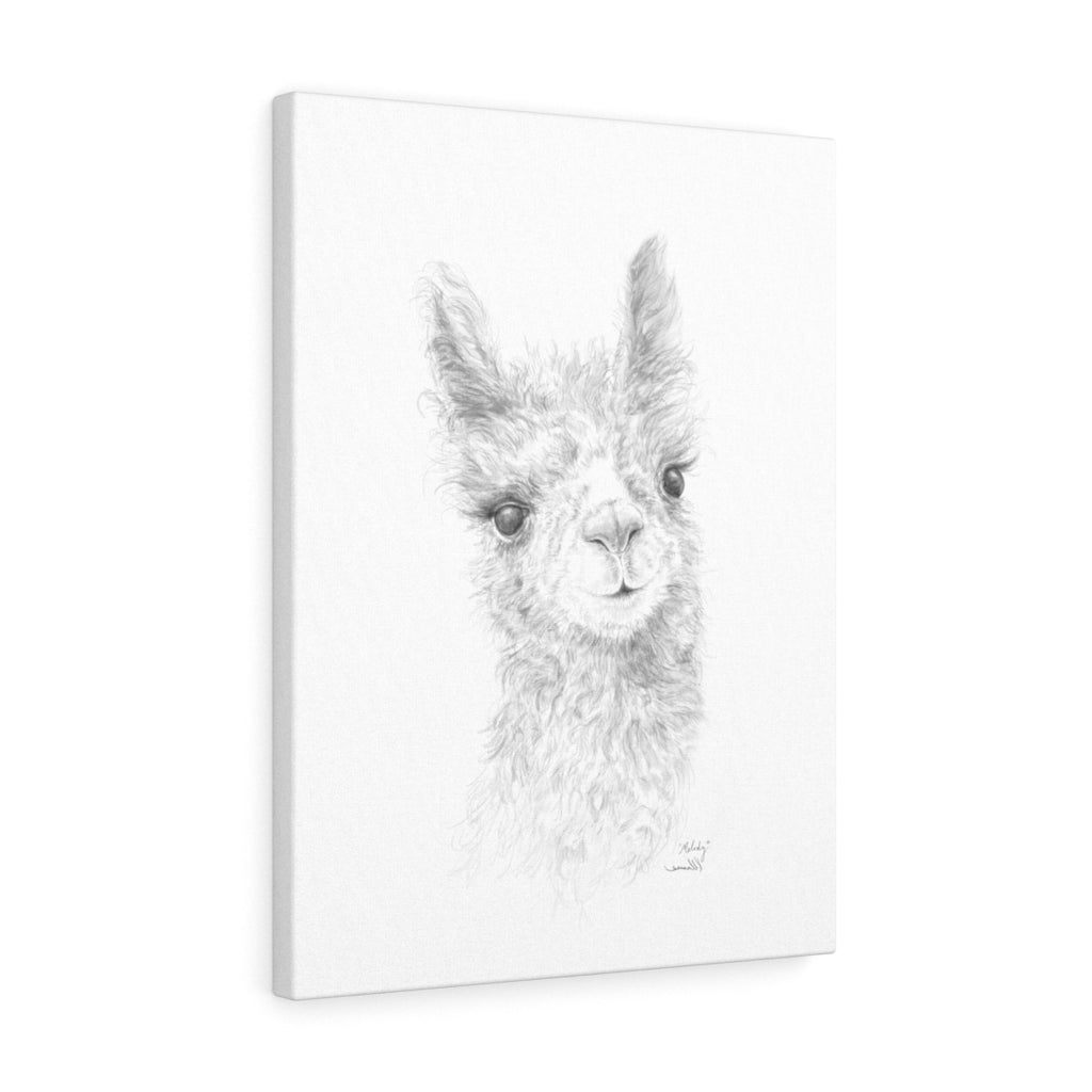 MELODY Llama - Art Canvas