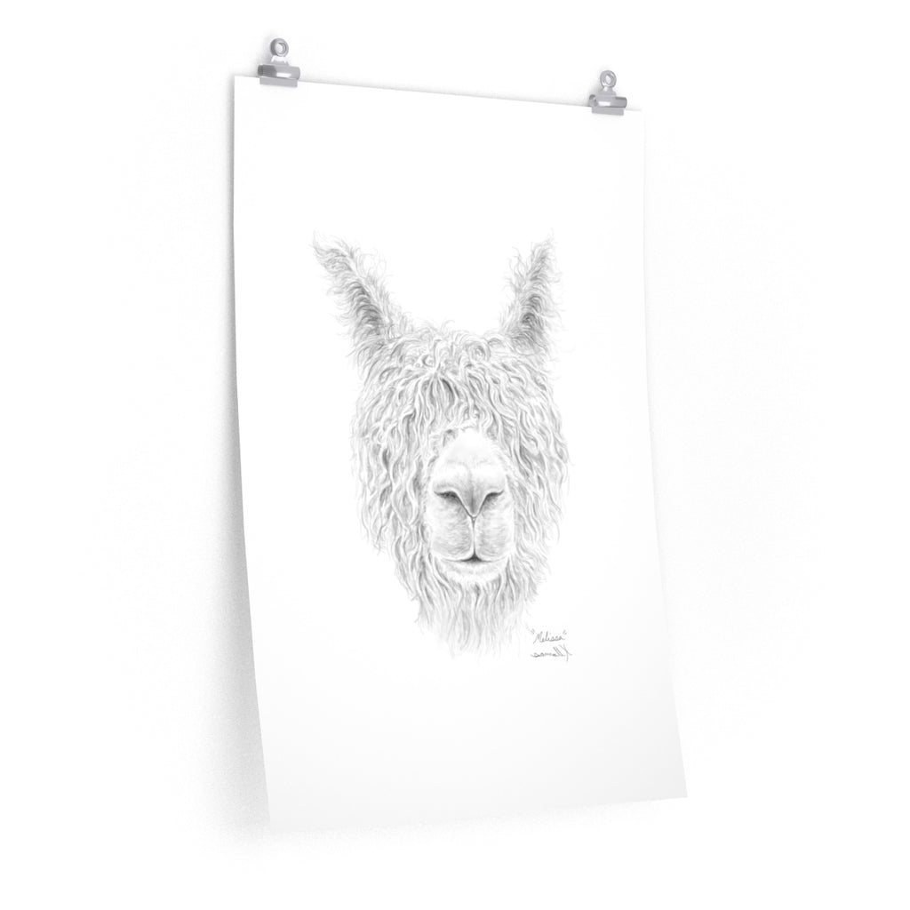 MELISSA Llama- Art Paper Print