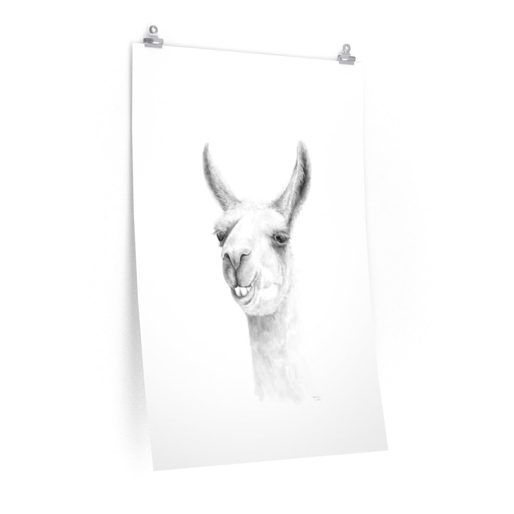 MAGDALENA Llama- Art Paper Print