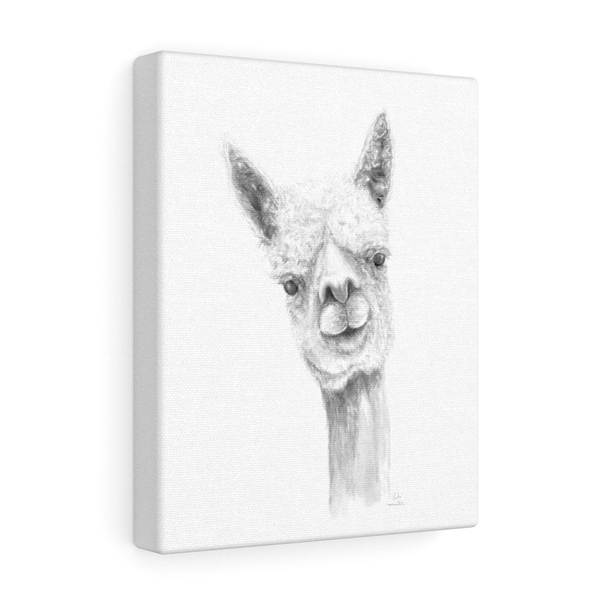 Luke Llama - Art Canvas