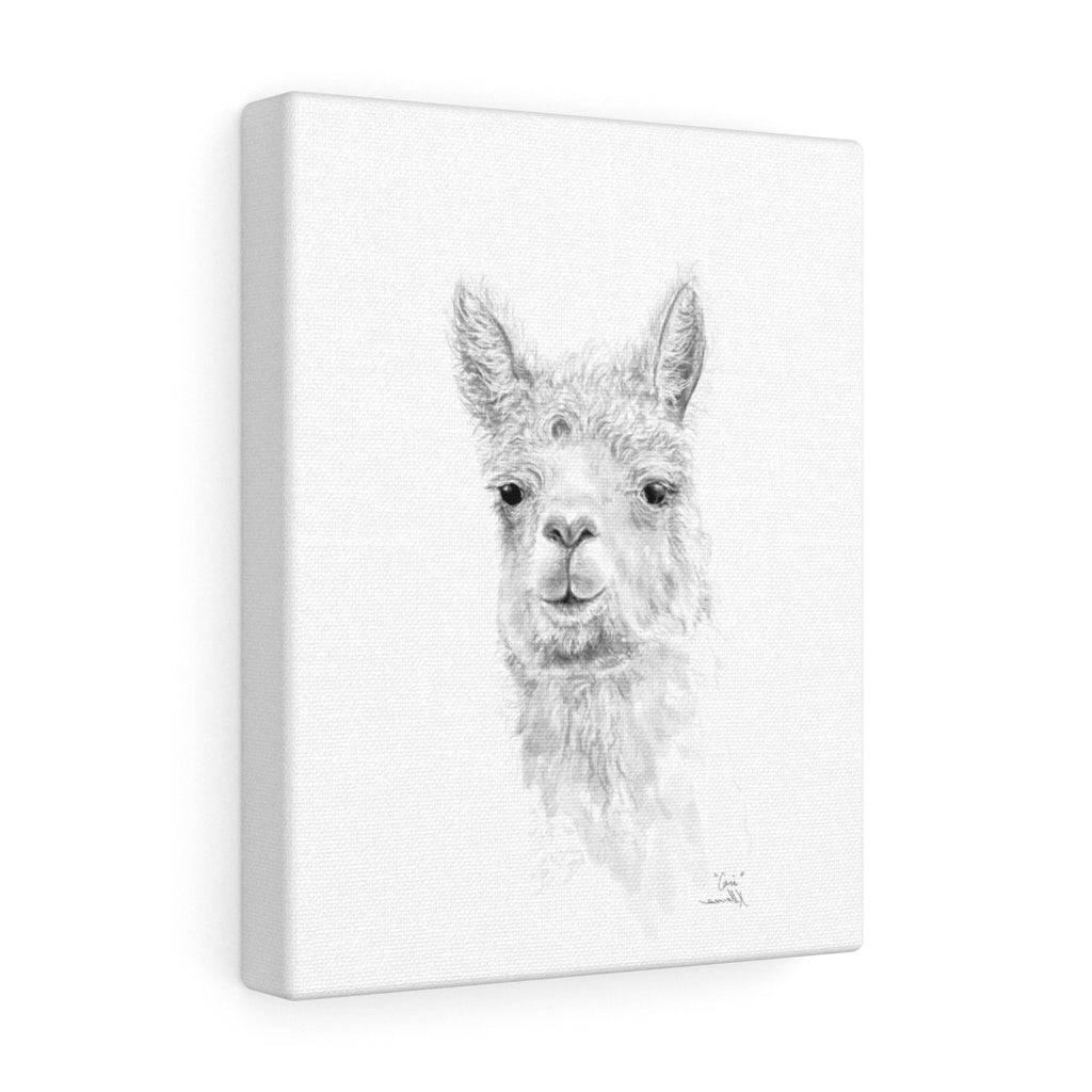 CARI Llama - Art Canvas