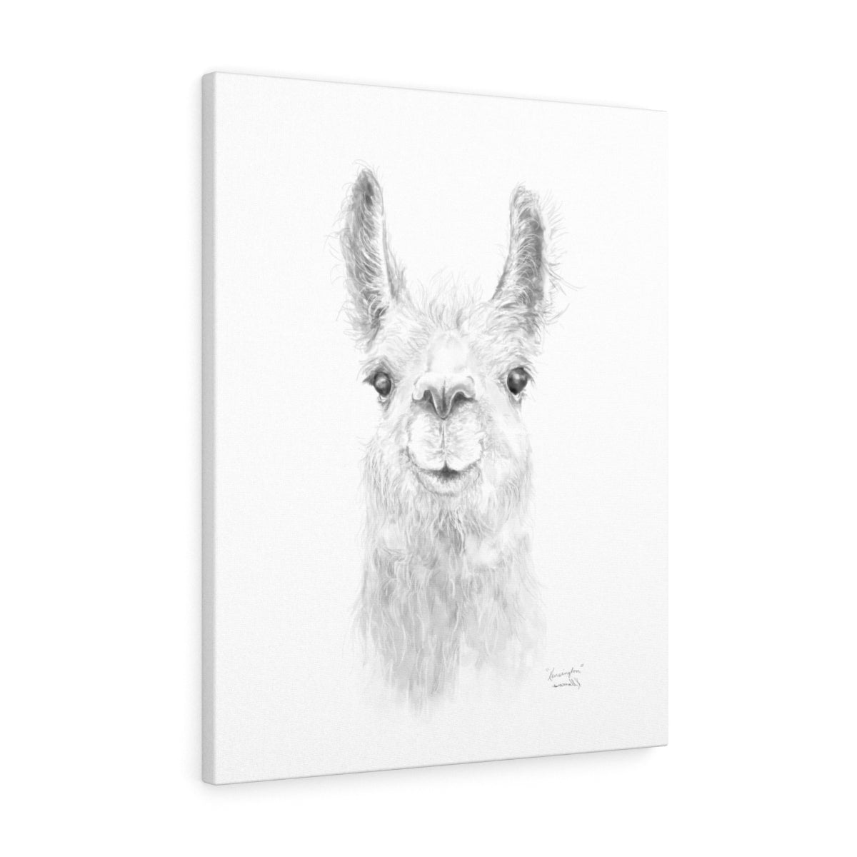 KENSINGTON Llama - Art Canvas