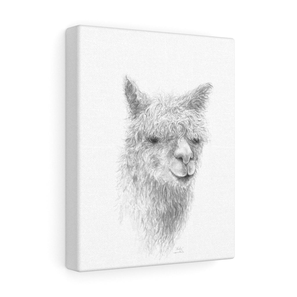 Nadia Llama - Art Canvas