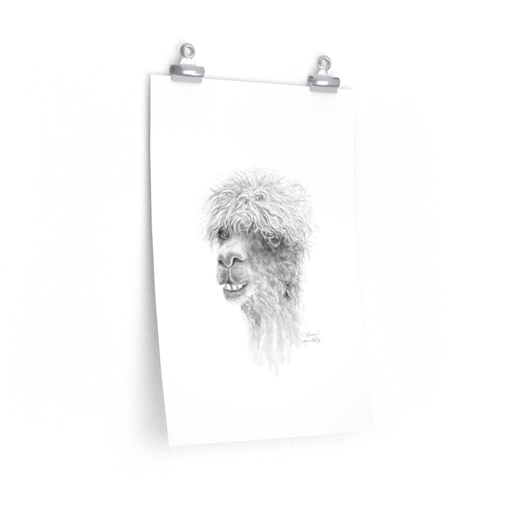 OLIVER Llama- Art Paper Print