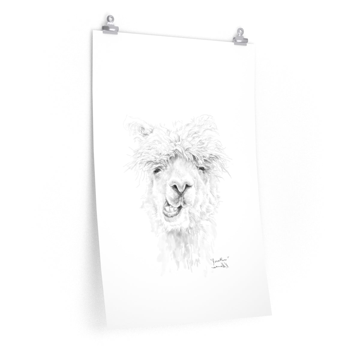 JONATHON Llama- Art Paper Print
