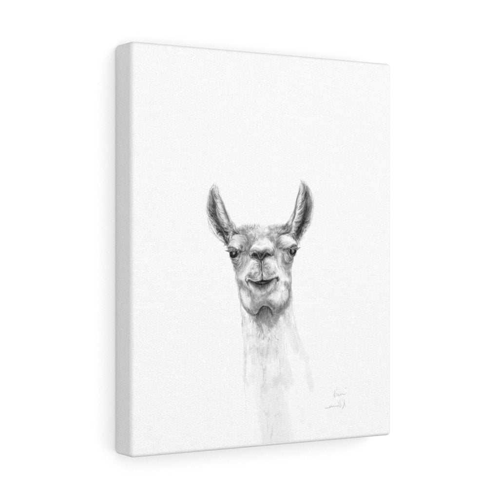 KAIN Llama - Art Canvas
