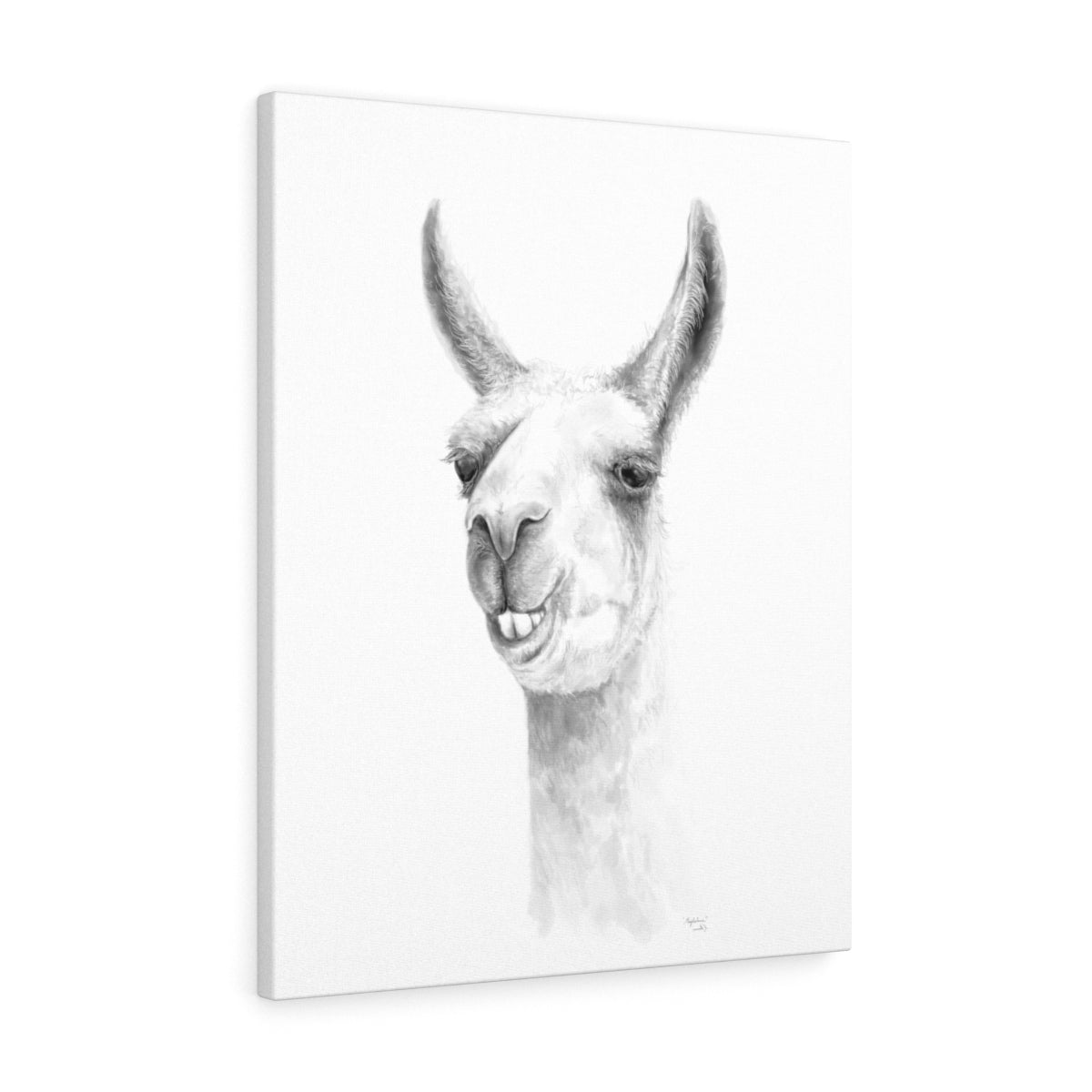 Magdalena Llama - Art Canvas