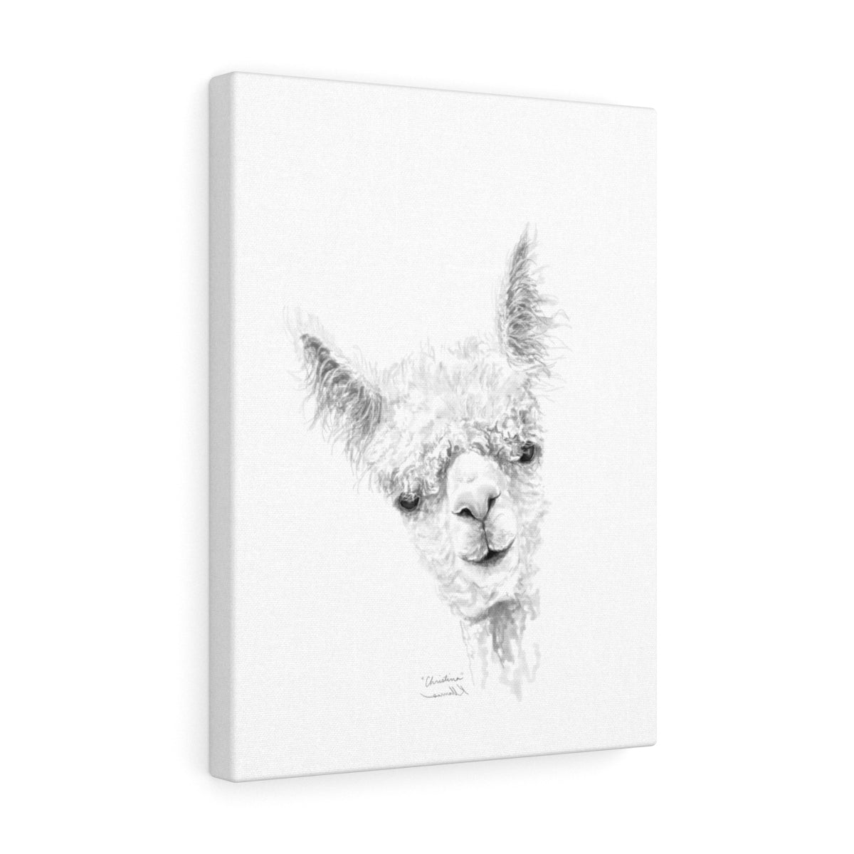 CHRISTINA Llama - Art Canvas